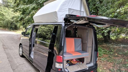 Bongo – Voor alle beginnende bongonauten