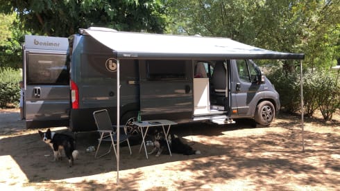 2p Benimar bus from 2021