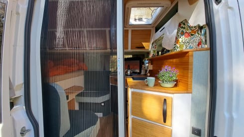 2p Fiat bus from 2020