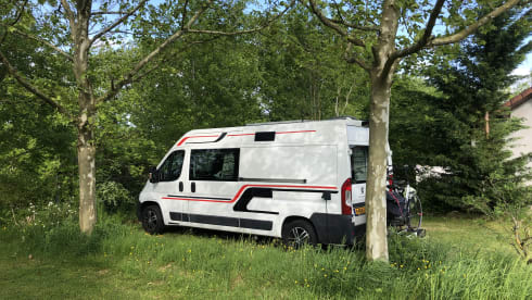 4-person Peugeot bus from 2017, sleeping 2 people