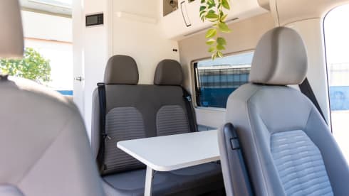 Bonnie – 4p Volkswagen bus from 2022