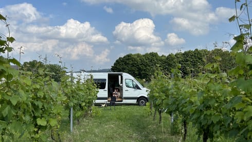 Volkswagen gezinscamper (volledig uitgerust) – 4-seater Volkswagen bus from 2016