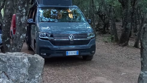 Mitango – Viva my Van