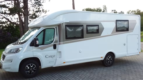4p McLouis semi-integrated uit 2019