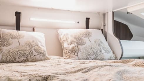 Benimar Cocoon 463 - AUTOMATIC - October 2023