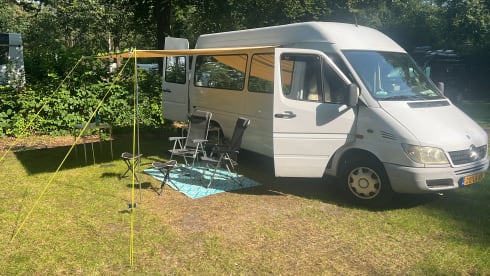 Albino – 3p Mercedes-Benz bus from 2003