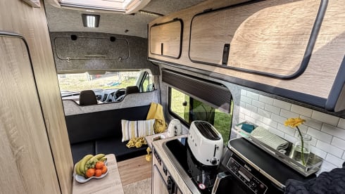 Hugo Away – Ford Transit Jumbo (Insurance included)