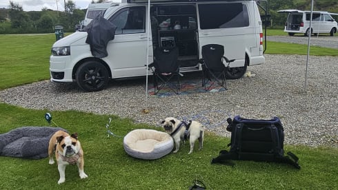 Lizzy the camperess  – 4 berth Volkswagen campervan from 2012