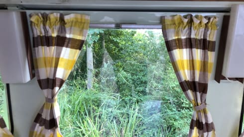 De Bus – 2p Volkswagen bus from 1965