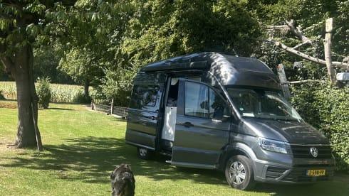 4 PERSON AUTOMATIC Volkswagen campervan from 2023