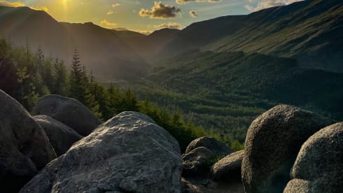 Bamboo Buck – Hashtagcampeurs 