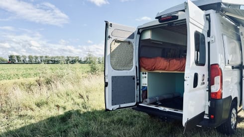 Bennie – Bennie: Fiat Campervan (Automatic) - Pet Friendly - 4 Persons