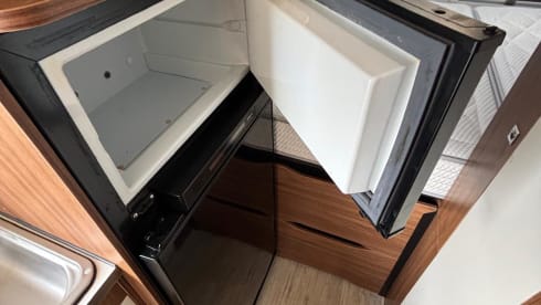 2p Fiat bus uit 2019