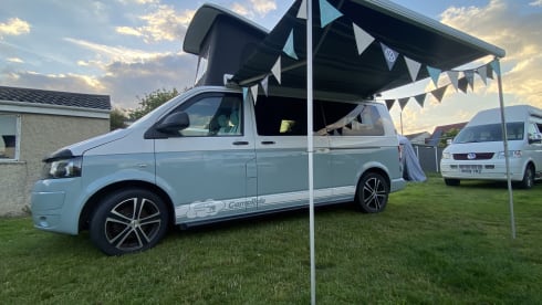 Remy – T5 VW (2010), White/Olive Green Pop-Top (LWB)
