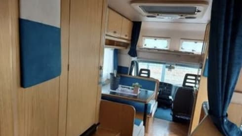 Laika Ecovip 3L in perfette condizioni.