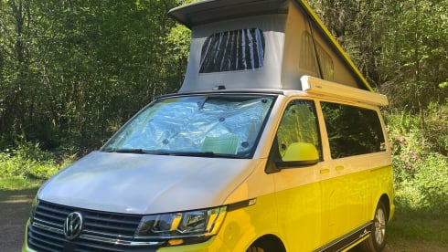 Sunshine  – 4berth T6.1 VW. Insurance included.