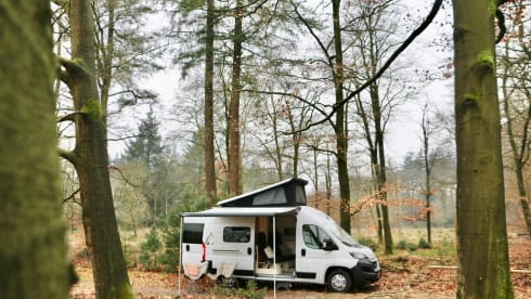 Bobbie – 5p Peugeot bus from 2025