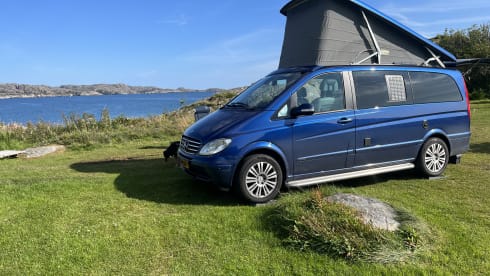 Booster Blue – Mercedes Viano bus camper