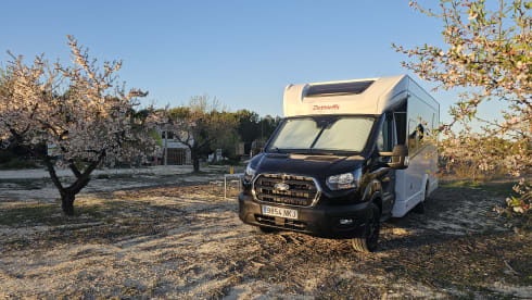 Mango Dream - Just GO! – 4p Dethleffs semi-integrated from 2026