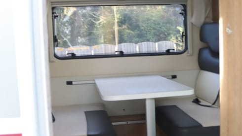 Équipe de roller 6p Alcove de 2018