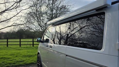 'Cow' Parsley – VW-Campingbus mit 4 Schlafplätzen