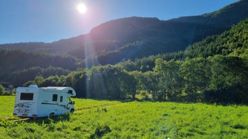 4 person camper (Alcove) l Fiat XGO Dynamic 20 from 2019