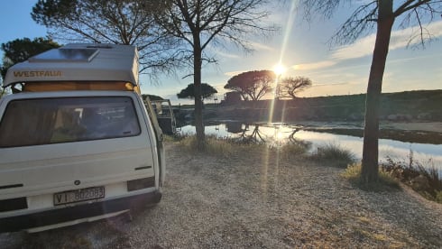 Nino – Van d'epoca: viaggio nel passato in Sardegna