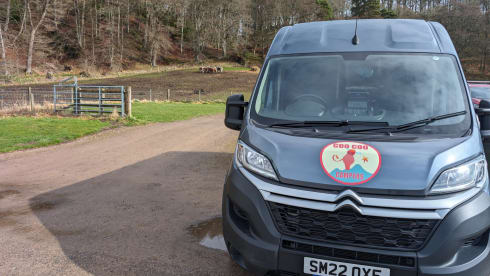 Big Ed – 2 berth Citroën campervan from 2022