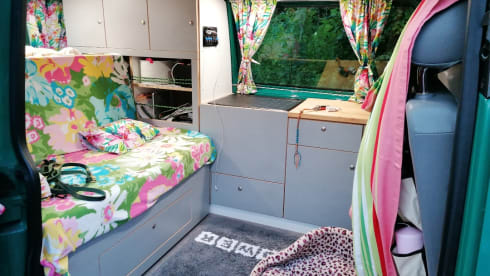 Ludo – Mit Ludwig die Freiheit genießen