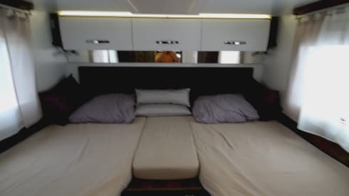 4p Benimar Cocoon 463