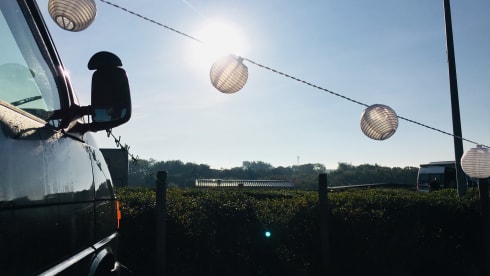 Willem – Willem de Volkswagen