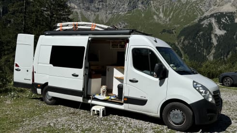 Moos Movano – 2p Other bus from 2013