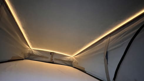 Willy – 4p Citroën bus uit 2024