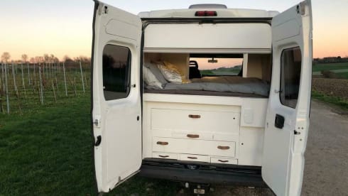 practically classified bus camper,