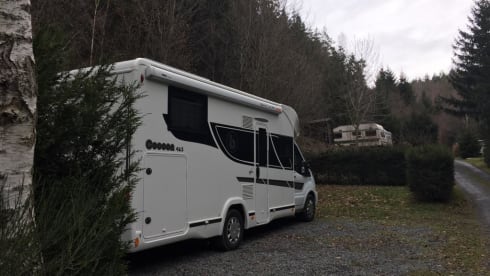 Benimar Cocoon 463 – Brand new family motorhome - Driving license B
