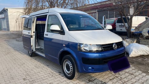 Luxury Van Transporter T5