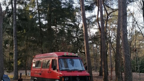 #Brutusss85 – 4p Mercedes-Benz bus from 1985