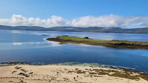 Ernie – Rollerteam 685 pet friendly motorhome