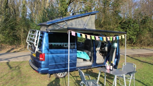 Dragonfly – VW California