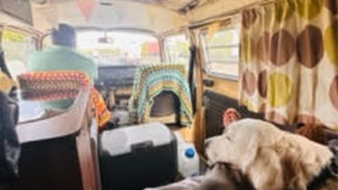 Ned – Gemoderniseerde, stuurbekrachtige, 4-persoons VW T2 met alle extra's