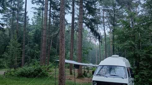Zonnetje – 2p Volkswagen T3