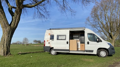 Bussie – Beautiful Adventure bus (2P), completely NEW equipped, also for tall people!