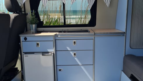 Cosmo – Volkswagen Camper. 2015 T6