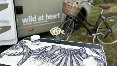 'Wild at Heart' – Splendido camper di Classe A nuovo di zecca