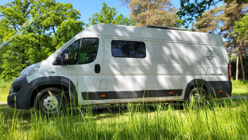Pura Vida Van – 3-person bus camper built in 2023