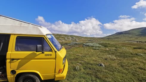 Sunny – 2p Volkswagen campervan from 1981