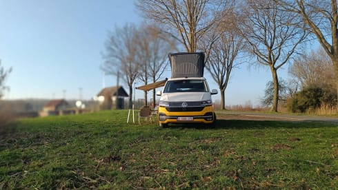 STORMY 2 – Volkswagen California Ocean 