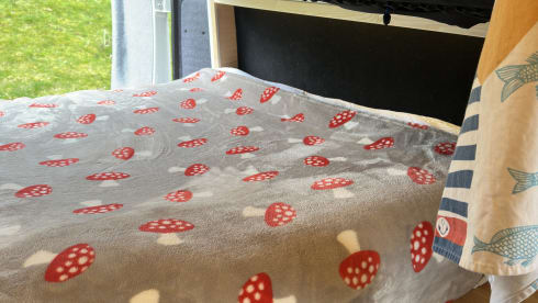 Henry – Citroën-Bus mit 2 Schlafplätzen aus dem Jahr 2017