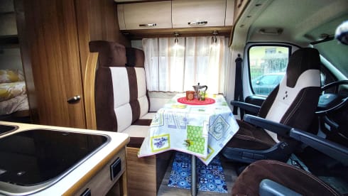  Swan – Nuovo Bravia 636 Swan