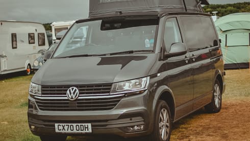 Harley – When Dog Friendly Means Dog Friendly - Luxury VW T6.1 Campervan